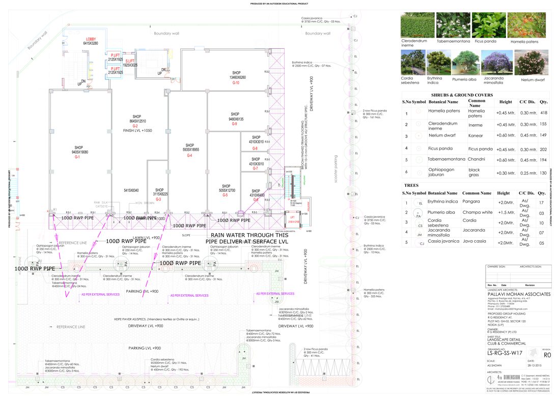 Rg Residency Tower - P (Rg Square )